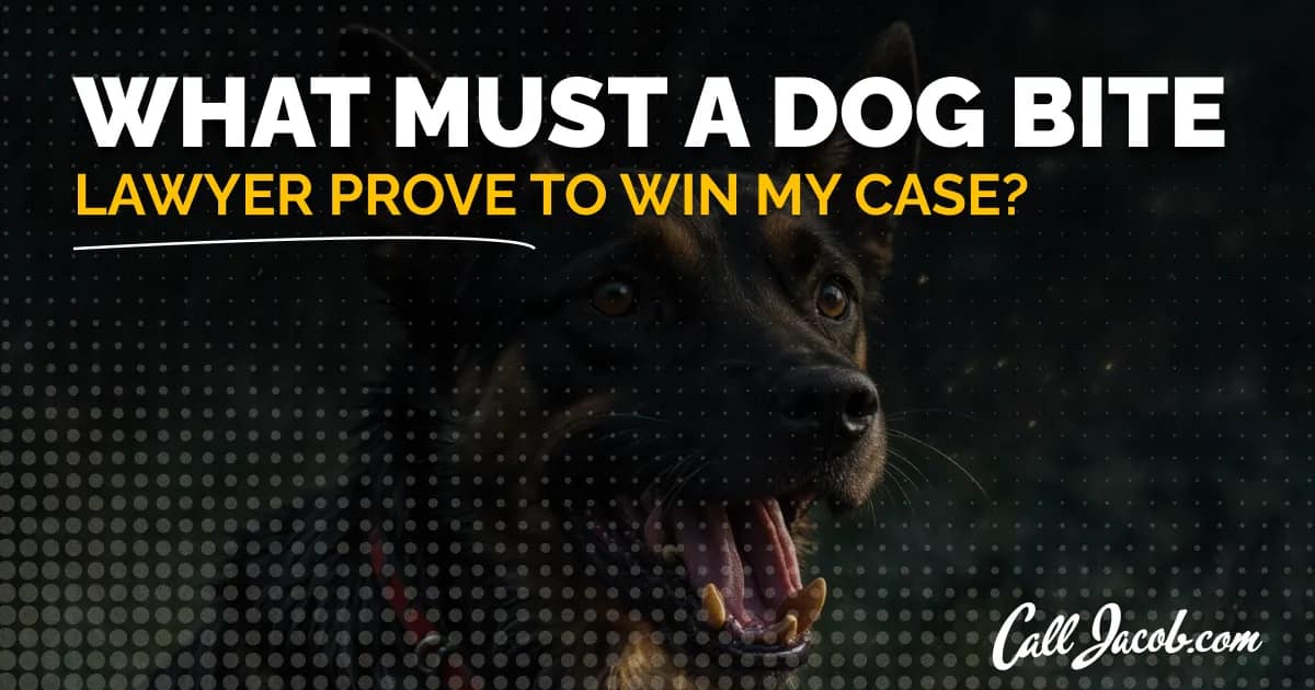 What Must a Dog Bite Lawyer Prove to Win My Case