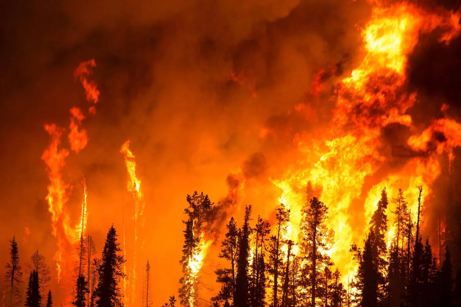 wildfires