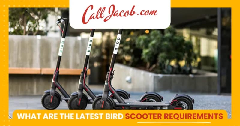 California Bird Scooter Requirements