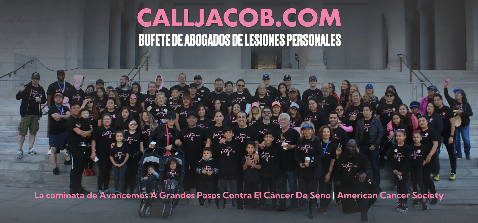 Past Breast Cancer Walks