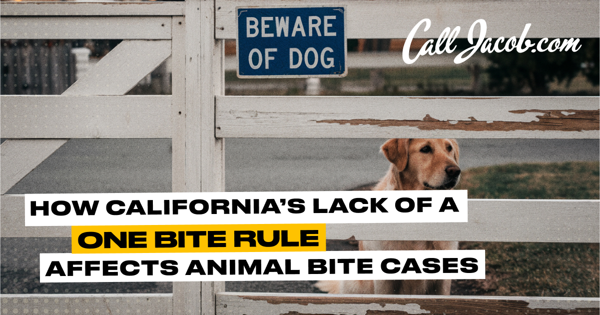How California's Lack of a One-Bite Rule Affects Animal Bite Cases