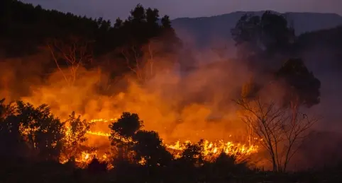 A wildfire burns through a forested area at dusk, with flames and thick smoke rising among trees and hills silhouetted in the background.